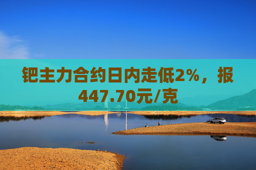 钯主力合约日内走低2%，报447.70元/克