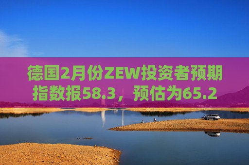德国2月份ZEW投资者预期指数报58.3，预估为65.2