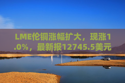 LME伦铜涨幅扩大，现涨1.0%，最新报12745.5美元/吨