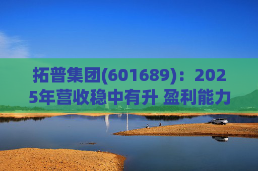 拓普集团(601689)：2025年营收稳中有升 盈利能力短期承压