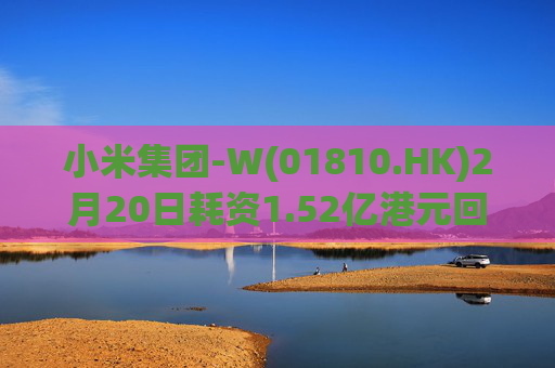 小米集团-W(01810.HK)2月20日耗资1.52亿港元回购428万股