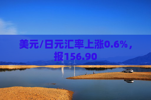 美元/日元汇率上涨0.6%，报156.90