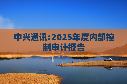 中兴通讯:2025年度内部控制审计报告