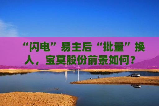 “闪电”易主后“批量”换人，宝莫股份前景如何？