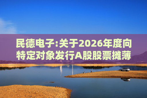 民德电子:关于2026年度向特定对象发行A股股票摊薄即期回报、采取填补措施以及相关主体承诺的公告