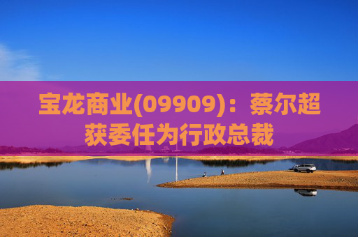 宝龙商业(09909)：蔡尔超获委任为行政总裁  第1张