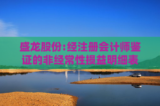 盛龙股份:经注册会计师鉴证的非经常性损益明细表  第1张