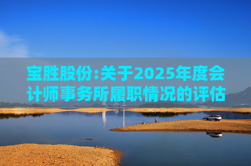 宝胜股份:关于2025年度会计师事务所履职情况的评估报告