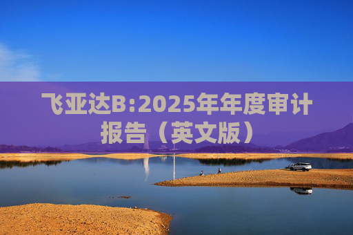 飞亚达B:2025年年度审计报告（英文版）  第1张