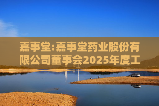 嘉事堂:嘉事堂药业股份有限公司董事会2025年度工作报告  第1张