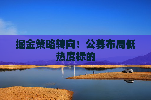 掘金策略转向！公募布局低热度标的