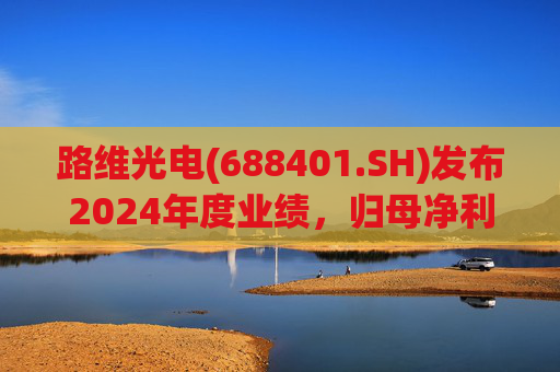 路维光电(688401.SH)发布2024年度业绩，归母净利润1.91亿元，同比增长28.27%