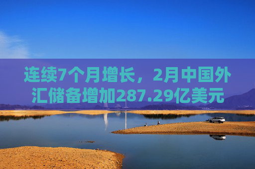 连续7个月增长，2月中国外汇储备增加287.29亿美元