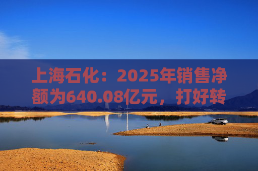 上海石化：2025年销售净额为640.08亿元，打好转型升级攻坚战