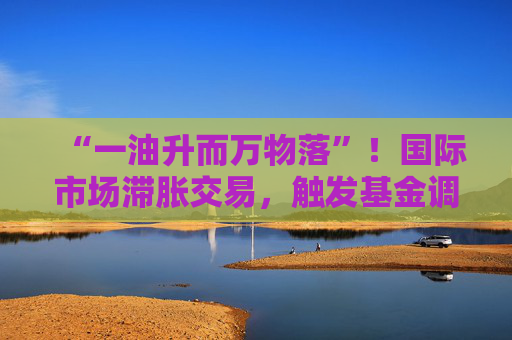 “一油升而万物落”!国际市场滞胀交易,触发基金调仓换股 第1张 “一油升而万物落”!国际市场滞胀交易,触发基金调仓换股 第1张