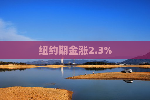 纽约期金涨2.3% 第1张 纽约期金涨2.3% 第1张