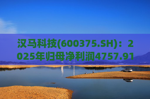 汉马科技(600375.SH):2025年归母净利润4757.91万元 第1张 汉马科技(600375.SH):2025年归母净利润4757.91万元 第1张