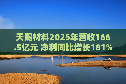 天赐材料2025年营收166.5亿元 净利同比增长181% 第1张 天赐材料2025年营收166.5亿元 净利同比增长181% 第1张