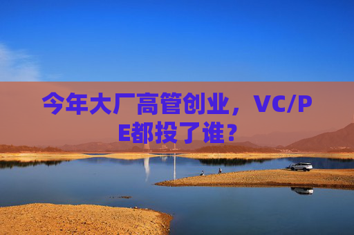 今年大厂高管创业，VC/PE都投了谁？