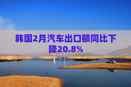 韩国2月汽车出口额同比下降20.8%