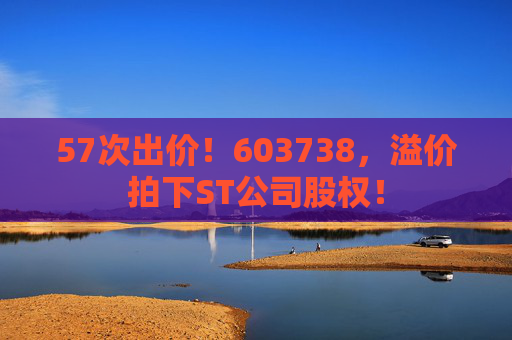 57次出价！603738，溢价拍下ST公司股权！
