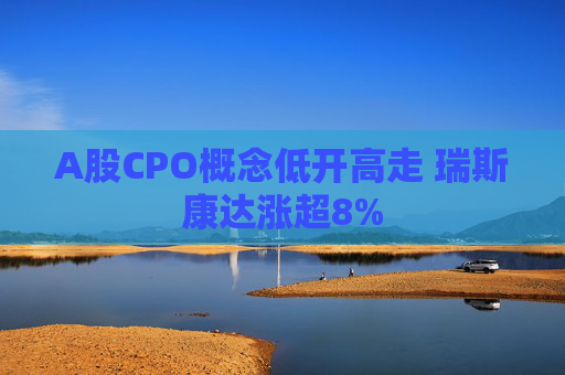 A股CPO概念低开高走 瑞斯康达涨超8%  第1张