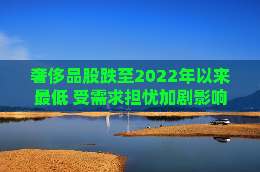 奢侈品股跌至2022年以来最低 受需求担忧加剧影响