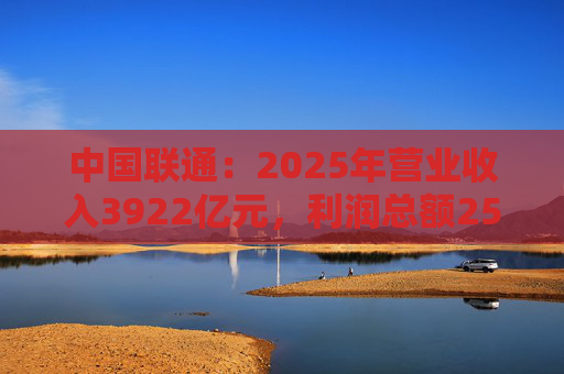 中国联通：2025年营业收入3922亿元，利润总额253亿元