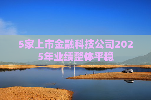 5家上市金融科技公司2025年业绩整体平稳 第1张 5家上市金融科技公司2025年业绩整体平稳 第1张