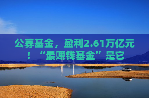 公募基金，盈利2.61万亿元！“最赚钱基金”是它