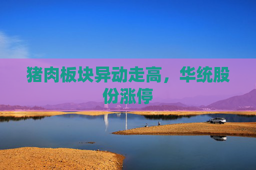 猪肉板块异动走高，华统股份涨停