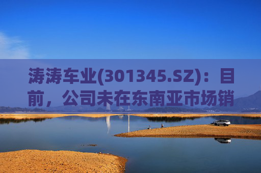 涛涛车业(301345.SZ)：目前，公司未在东南亚市场销售电动摩托车产品