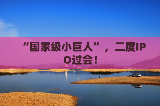 “国家级小巨人”，二度IPO过会！