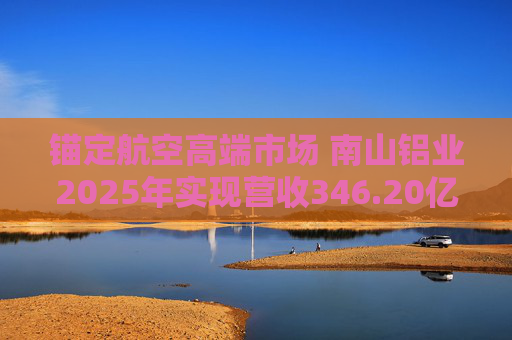 锚定航空高端市场 南山铝业2025年实现营收346.20亿元