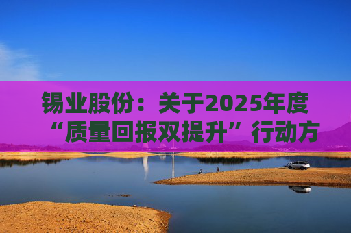 锡业股份：关于2025年度“质量回报双提升”行动方案实施评估报告