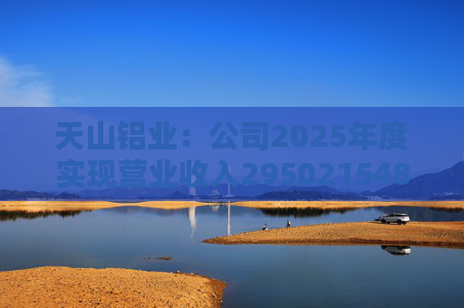 天山铝业：公司2025年度实现营业收入29502154897.93元  第1张