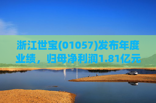浙江世宝(01057)发布年度业绩,归母净利润1.81亿元 同比增加21.05% 第1张 浙江世宝(01057)发布年度业绩,归母净利润1.81亿元 同比增加21.05% 第1张