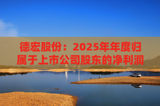 德宏股份：2025年年度归属于上市公司股东的净利润是11536888.12元