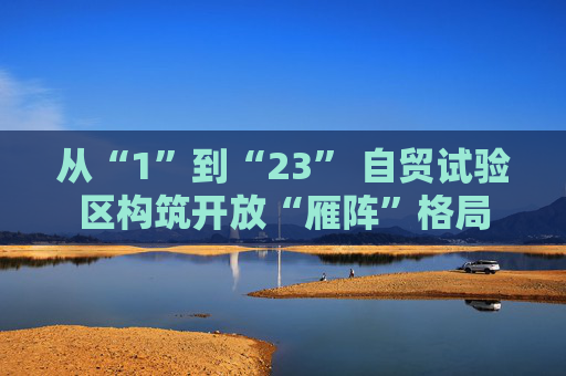 从“1”到“23” 自贸试验区构筑开放“雁阵”格局