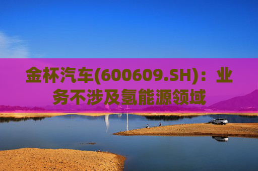 金杯汽车(600609.SH)：业务不涉及氢能源领域  第1张