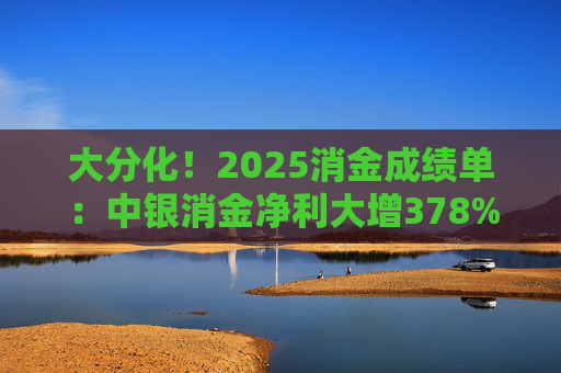 大分化！2025消金成绩单：中银消金净利大增378%，湖北消金大降超80%  第1张