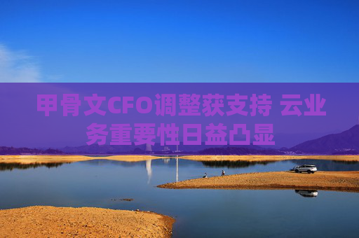 甲骨文CFO调整获支持 云业务重要性日益凸显