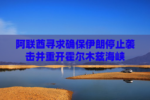 阿联酋寻求确保伊朗停止袭击并重开霍尔木兹海峡