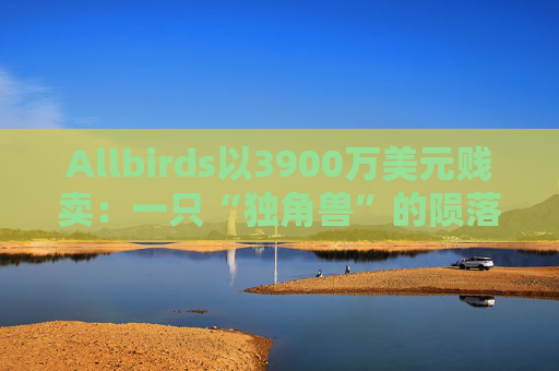 Allbirds以3900万美元贱卖：一只“独角兽”的陨落与DTC神话的终结