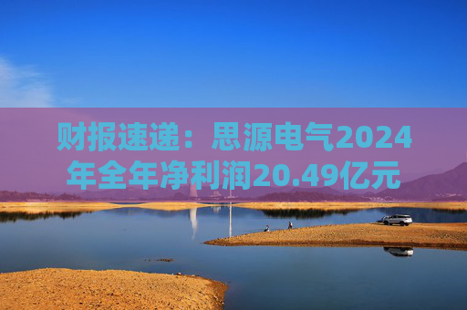 财报速递：思源电气2024年全年净利润20.49亿元  第1张
