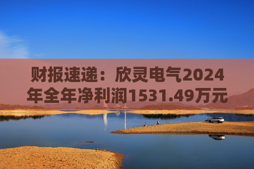 财报速递：欣灵电气2024年全年净利润1531.49万元