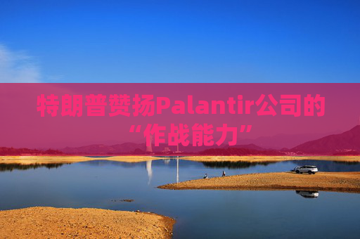 特朗普赞扬Palantir公司的“作战能力”
