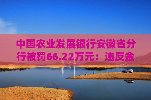 中国农业发展银行安徽省分行被罚66.22万元：违反金融统计相关规定