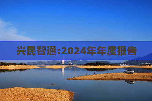 兴民智通:2024年年度报告  第1张