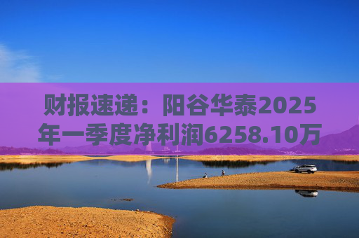 财报速递：阳谷华泰2025年一季度净利润6258.10万元  第1张